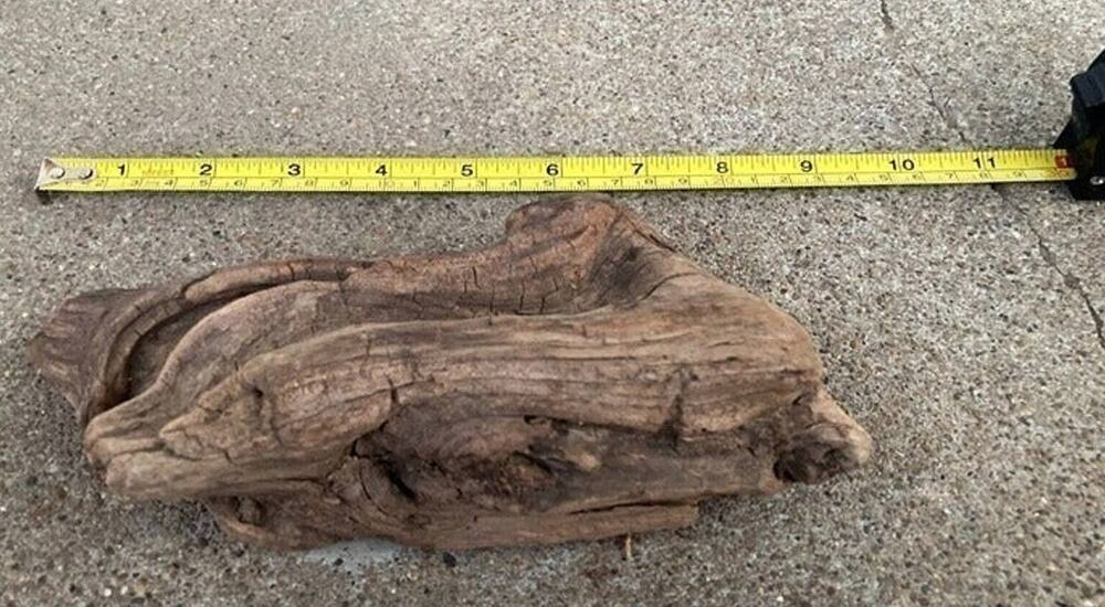 Ohio River Driftwood 8.25"x4.5"x2.25"